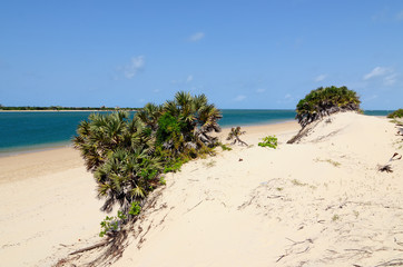 Sandy beaches in Kenya