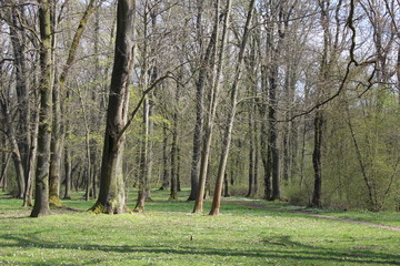 Frühling im Landschaftspark "Dürrer Hof", Eisenach