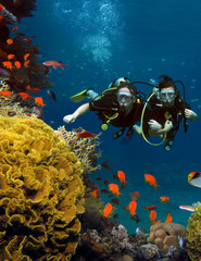 The loving couple dives among corals and fishes in the ocean