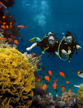 The loving couple dives among corals and fishes in the ocean
