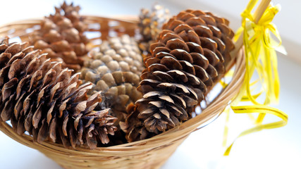 Fir cones in a basket with yellow bow