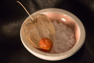 Skeleton of Bladder Cherry with Fruit inside