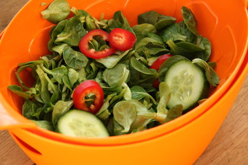 Leckerer Gemischter Salat in Sieb