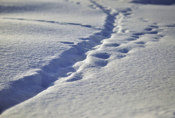 Traces in the snow. Winter background.