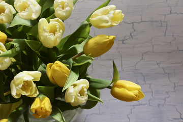 Bunch of yellow tulips on white background