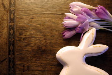 Osterhase & Krokusse