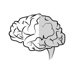 human brain icon over white background. vector illustration
