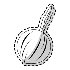 onion vegetable icon image vector illustration design 