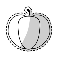 pumpkin fruit icon image vector illustration design 