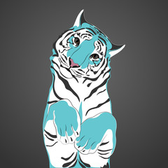 Fototapeta premium Tiger. Great blue kitten.