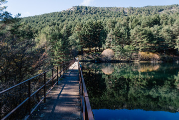 Reflection Of Trees In Calm Lake
