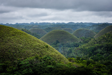 Impressive and Famous Chocolate Mountains of Bohol Island, Philippines.