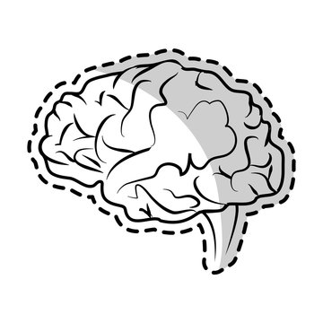 human brain icon image vector illustration design 