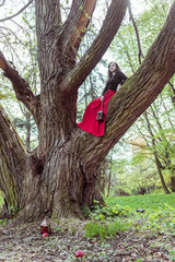 woman with lantern on tree