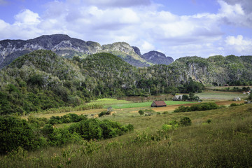 Fototapeta na wymiar The Valley of Viñales