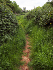 Path Through Grass to Stone Tower in Ireland