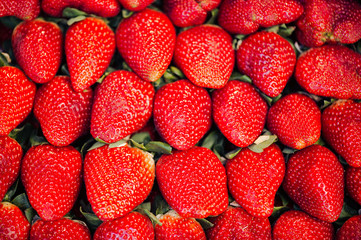 Macro photo of a lot of strawberries in full frame. Food Concept