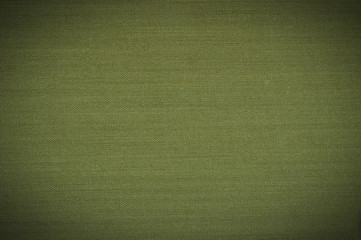 Book cover canvas textured green background