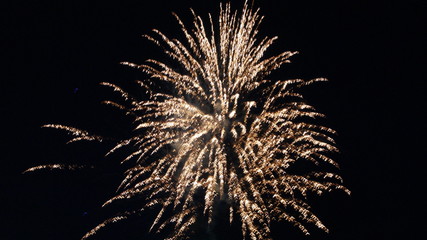 Summer fireworks