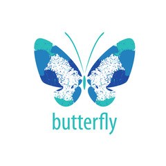 vector butterfly logo