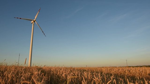 Elektrownia wiatrowa w polu pszenicy 