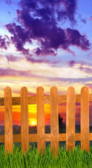  image of the fence in the garden close-up