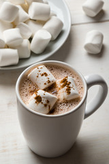 hot cocoa with marshmallow
