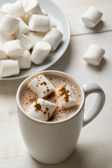 hot cocoa with marshmallow
