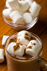 hot cocoa with marshmallow