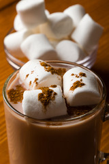hot cocoa with marshmallow
