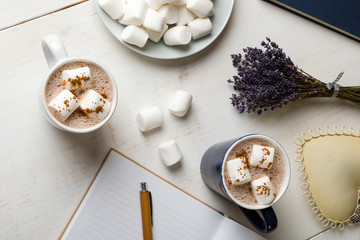 hot cocoa with marshmallow