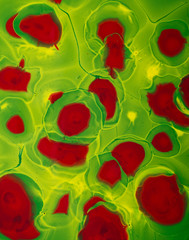 close up of different color paint