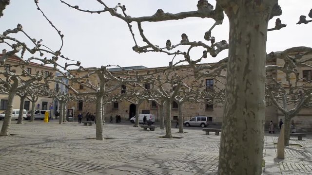 ZAMORA, SPAIN - MARCH 7, 2017: The Viriato square is an urban space in the city of Zamora. Its current name is due to the statue of the sculptor Eduardo Barron dedicated to Viriato.
