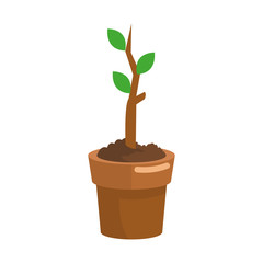 plant in a pot over white background. colorful design. vector illustration