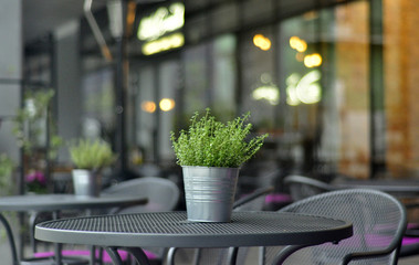 A table in a cafe on the street. Sopot Poland - obrazy, fototapety, plakaty