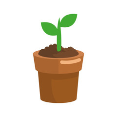 plant in a pot over white background. colorful design. vector illustration