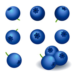 blueberry, set of vector icons.