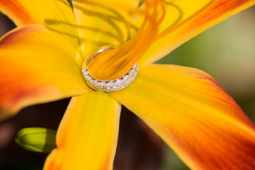Wedding ring placed on bright yellow flower 