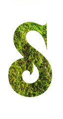 S letter in moss