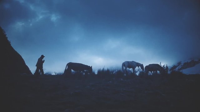 Silhouette of shepherd walking with mules and horses on the hill. Slow motion