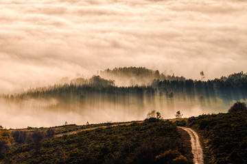 the sunset and the fog create rectilinear shadows © Luis Vilanova