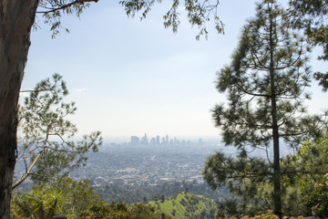 Fototapeta na wymiar Los Angeles Skyline in grünem Rahmen