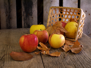 overturned basket, apples and dry leaves, still life