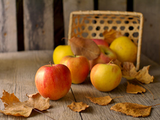 Naklejka na ściany i meble overturned basket, apples and dry leaves, still life, shallow depth of field