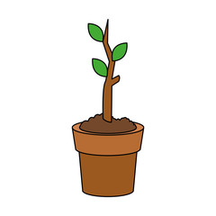 plant sprout in pot icon image vector illustration design 
