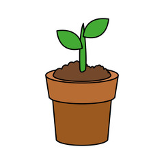 plant sprout in pot icon image vector illustration design 