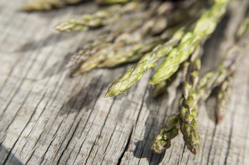 Garden asparagus (Asparagus officinalis)