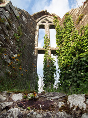 Chapel Window in Ruins of Abbey in Ireland