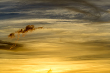 Fototapeta na wymiar Sunset Sky Panorama / Sunset sky panorama with yellow and blue tones in high quality
