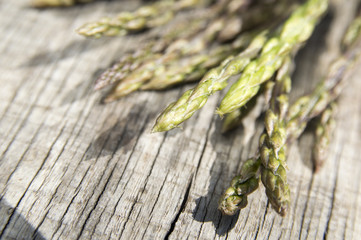 Garden asparagus (Asparagus officinalis)